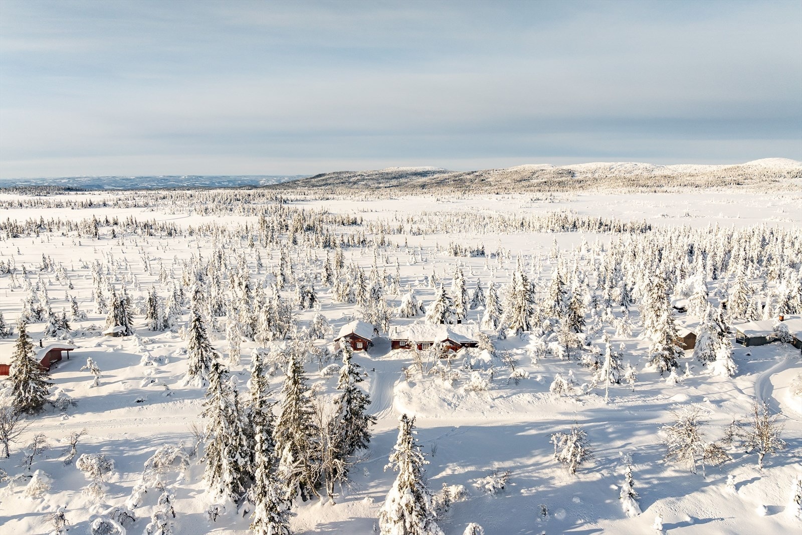 Fantastiske omgivelser som hytta ligger i. Galleribilde