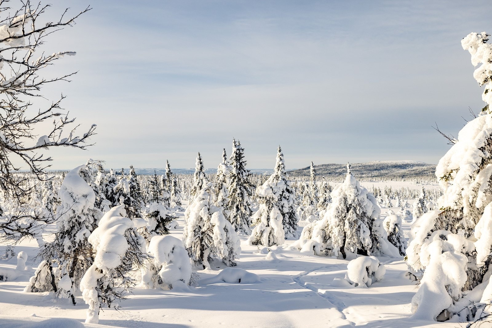 Flott utsikt fra terrassen Galleribilde
