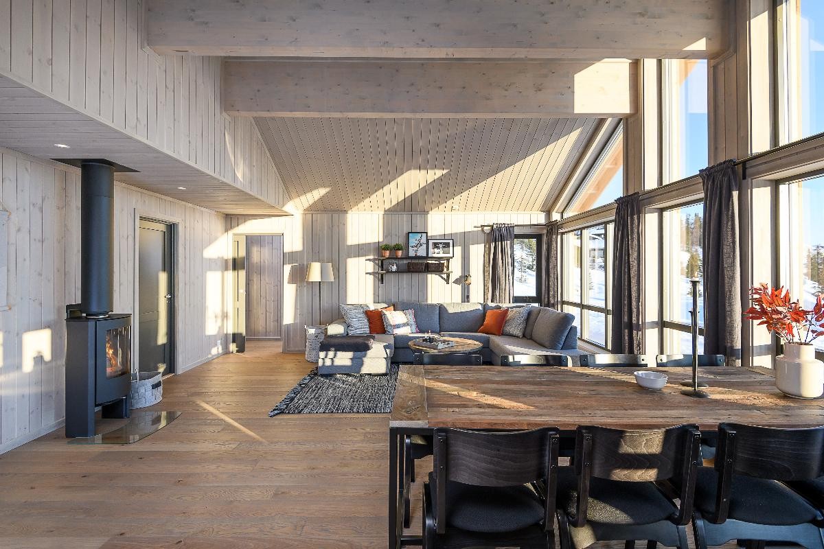 Duo 5 peisovn med glassplate foran Galleribilde