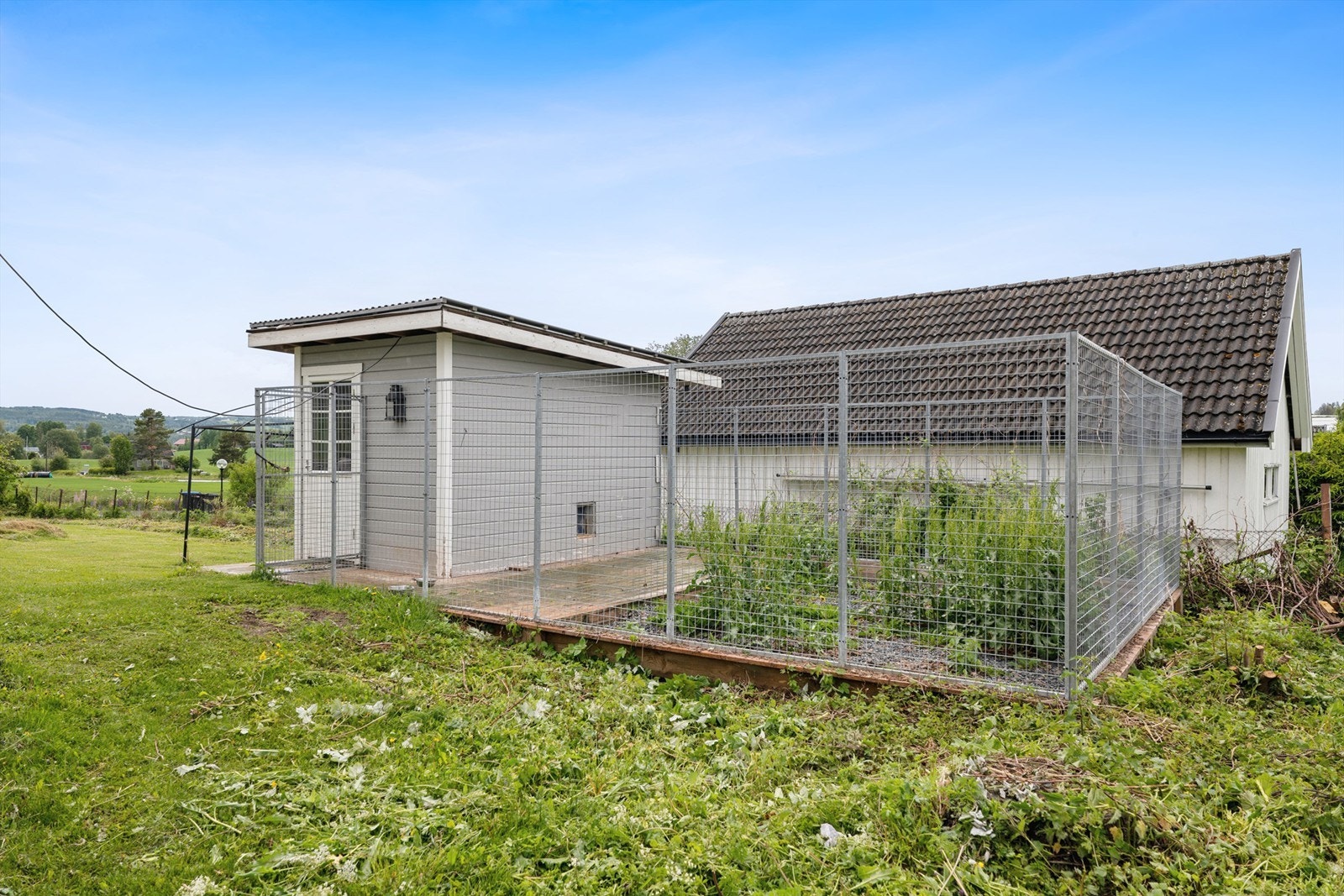 Hundegård blir tatt med av selger. Galleribilde