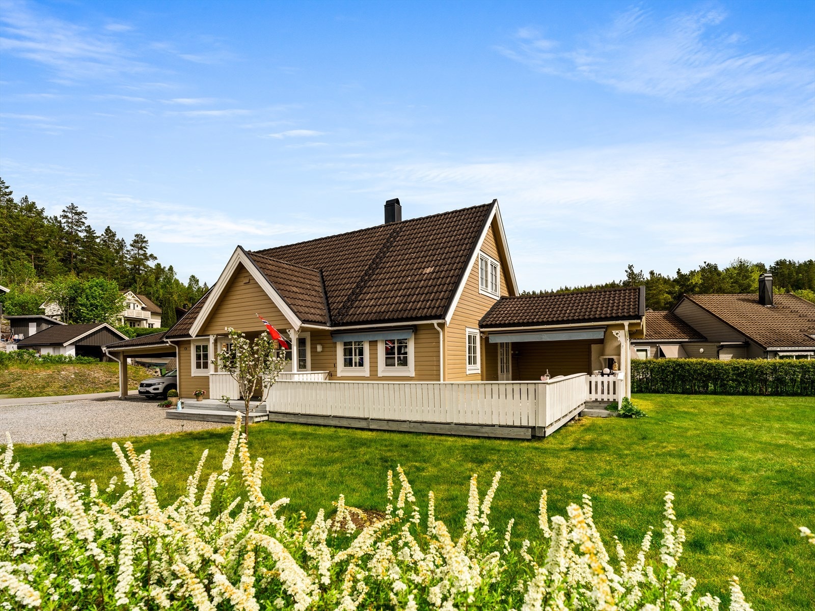 Sommerstemning med grønn plen og fine omgivelser. Galleribilde