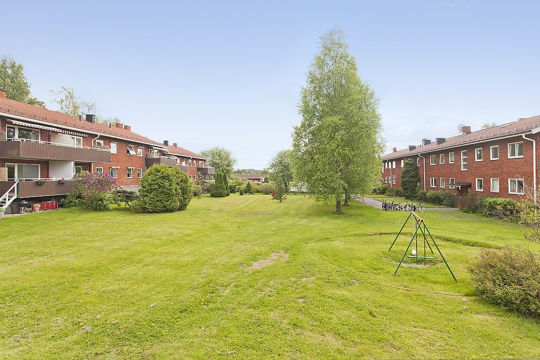 Om sommeren fremstår fellesområdet som grønt, frodig og svært trivelig. Galleribilde
