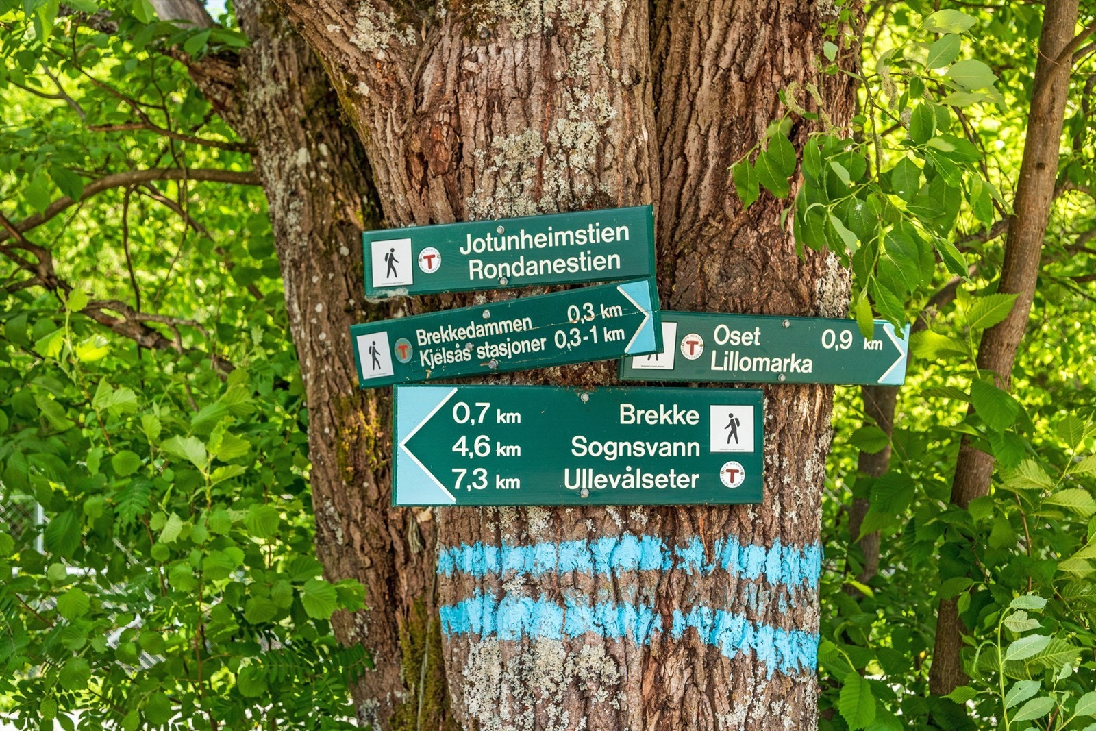 Det er få minutters gange til Maridalsporten og Brekke, med milevis med skiløyper og turstier Galleribilde