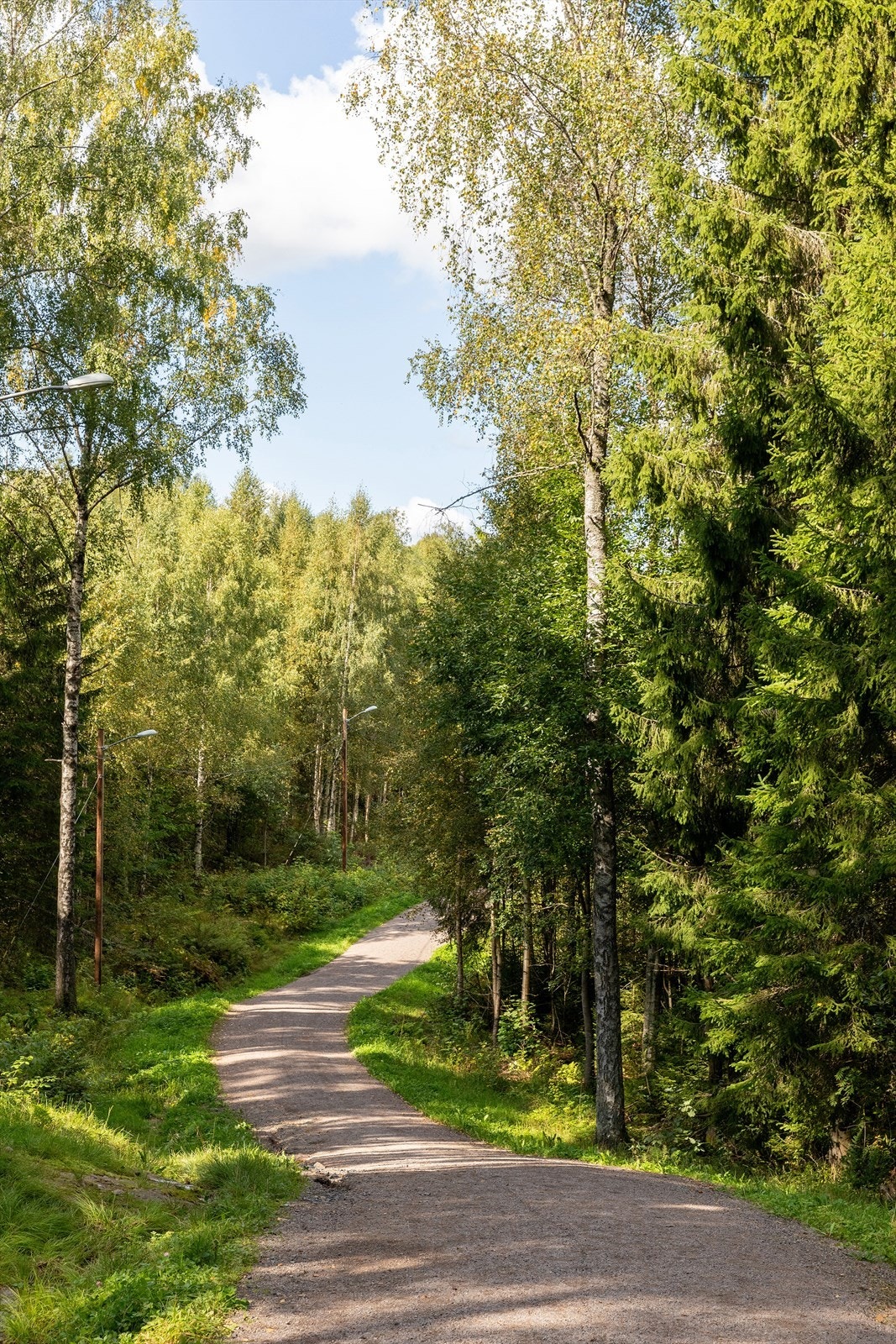 Fra Brekke går det flotte turløyper, både sommer og vinter Galleribilde