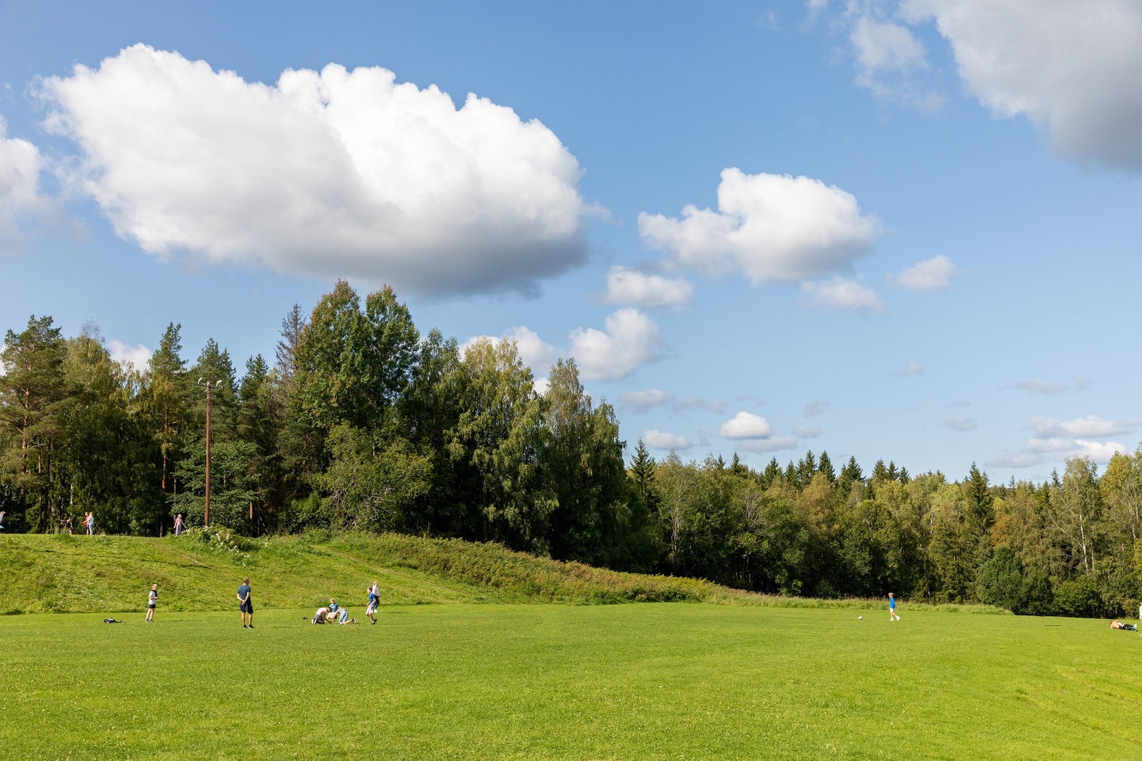 Hundejordet ved Brekke er populær akebakke om vinteren og har store områder for lek og ballspill på sommerstid Galleribilde