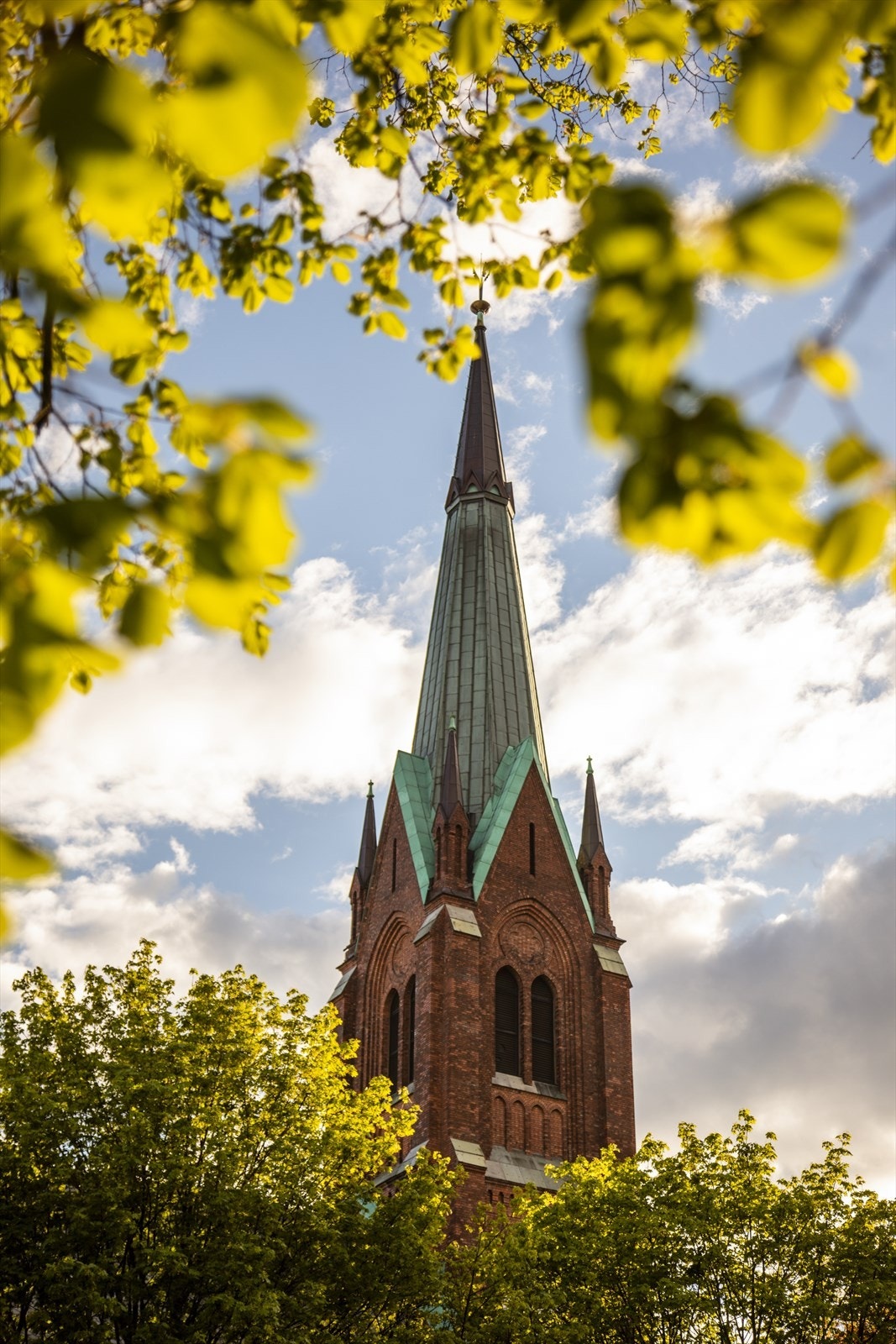 Områdebilde. Galleribilde