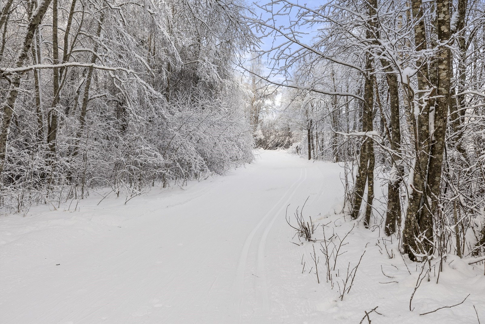 Skiløypa i Østmarka er kun noen meter unna. Galleribilde
