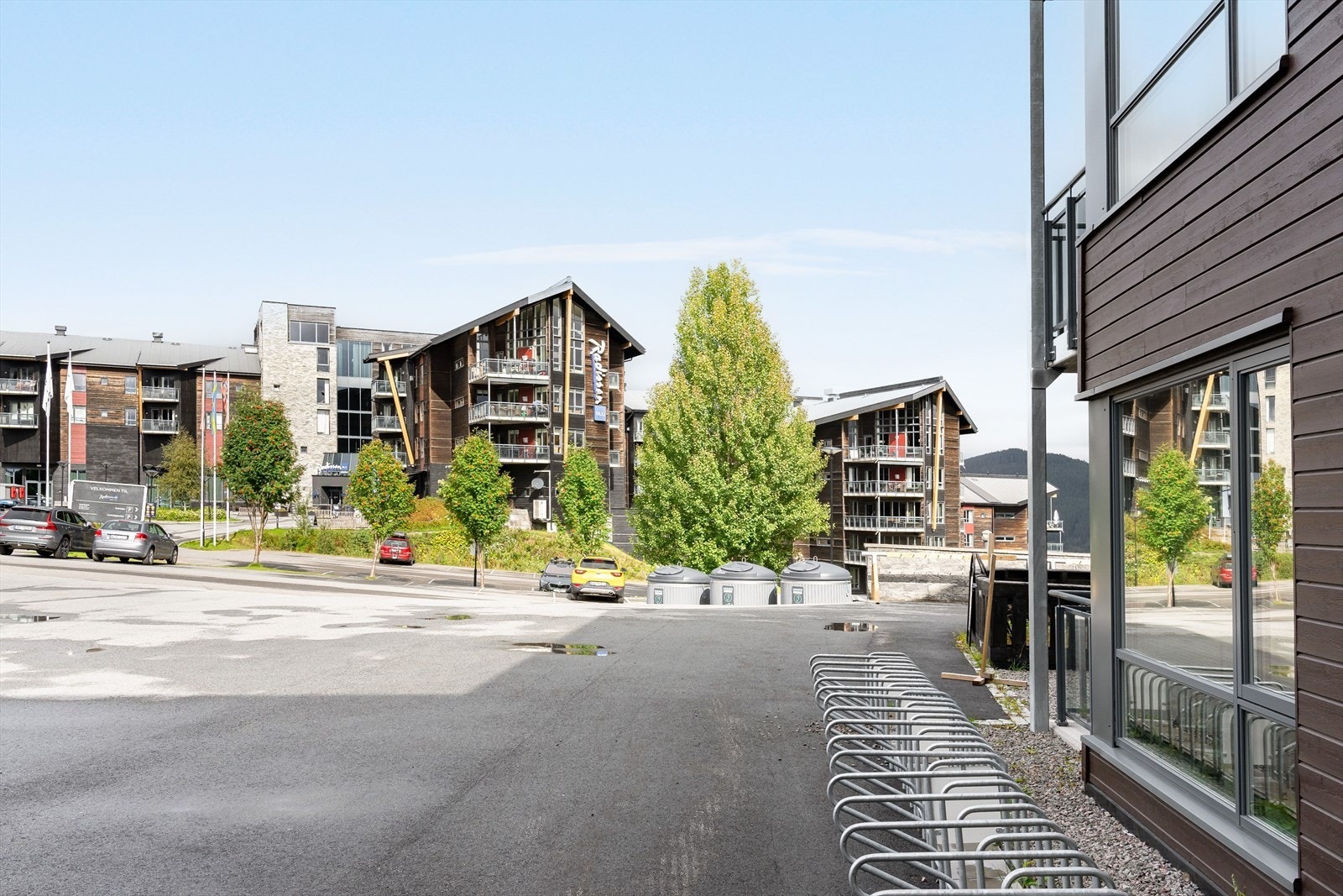 Velkommen til fjells! Galleribilde