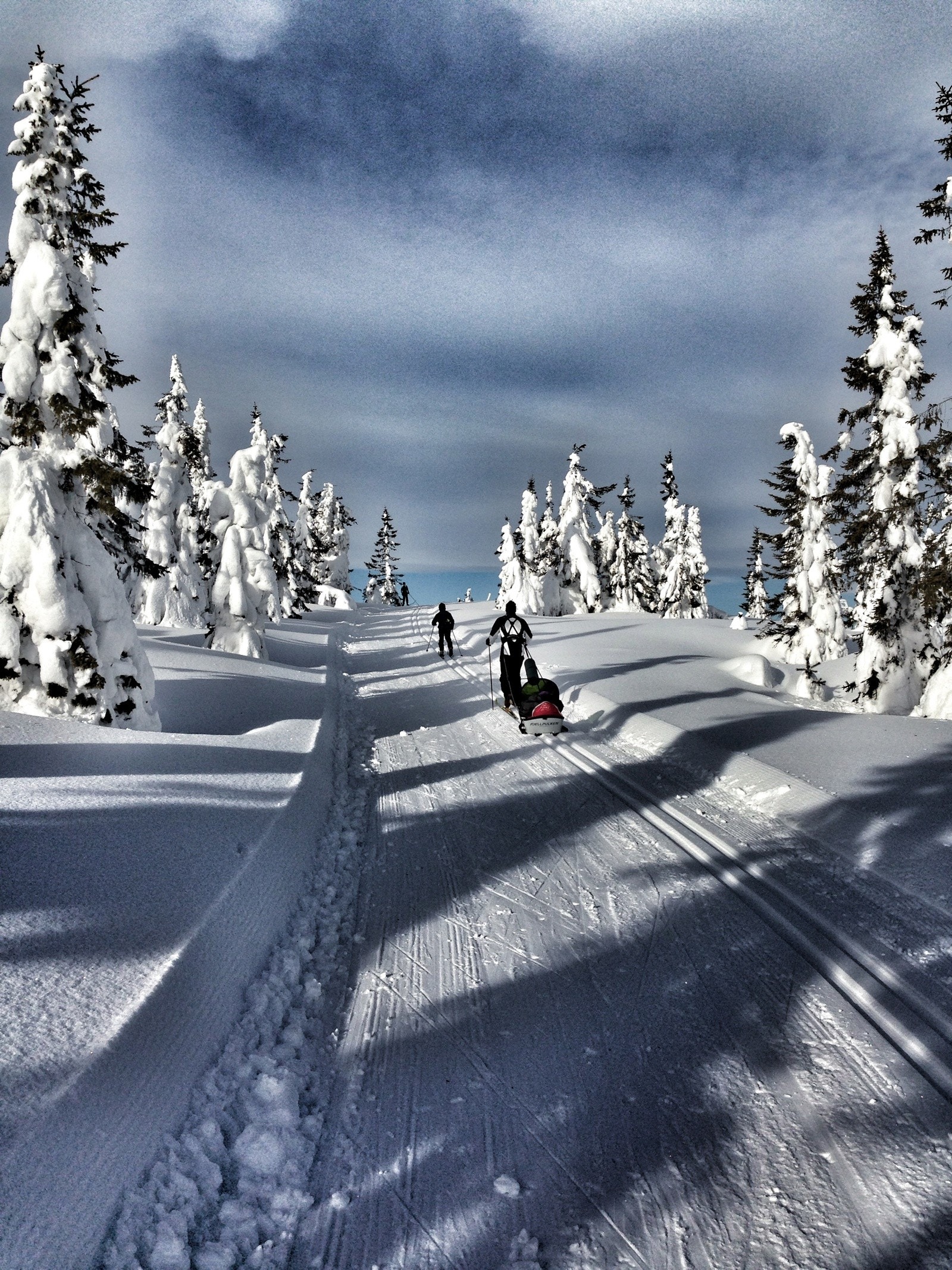 Like i nærheten finner du 6 mil med oppkjørte skiløyper, bare 300-400 meter fra eiendommen. Galleribilde