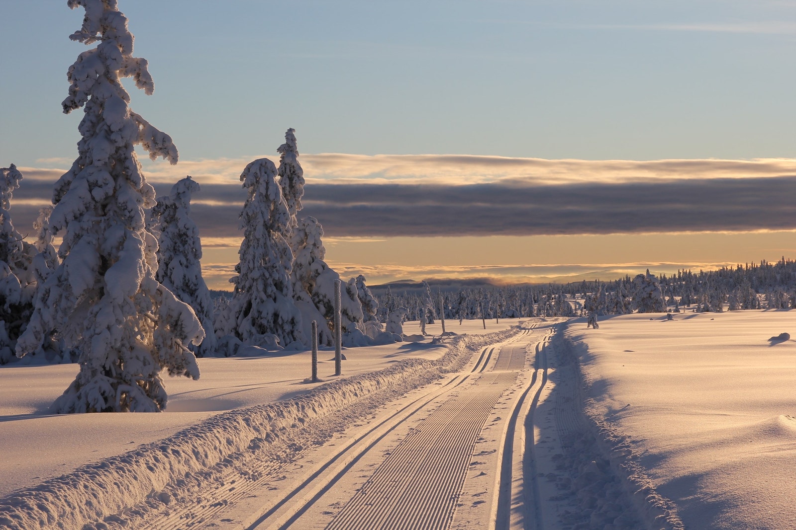 Foto: Evine Westli Andersen. Galleribilde