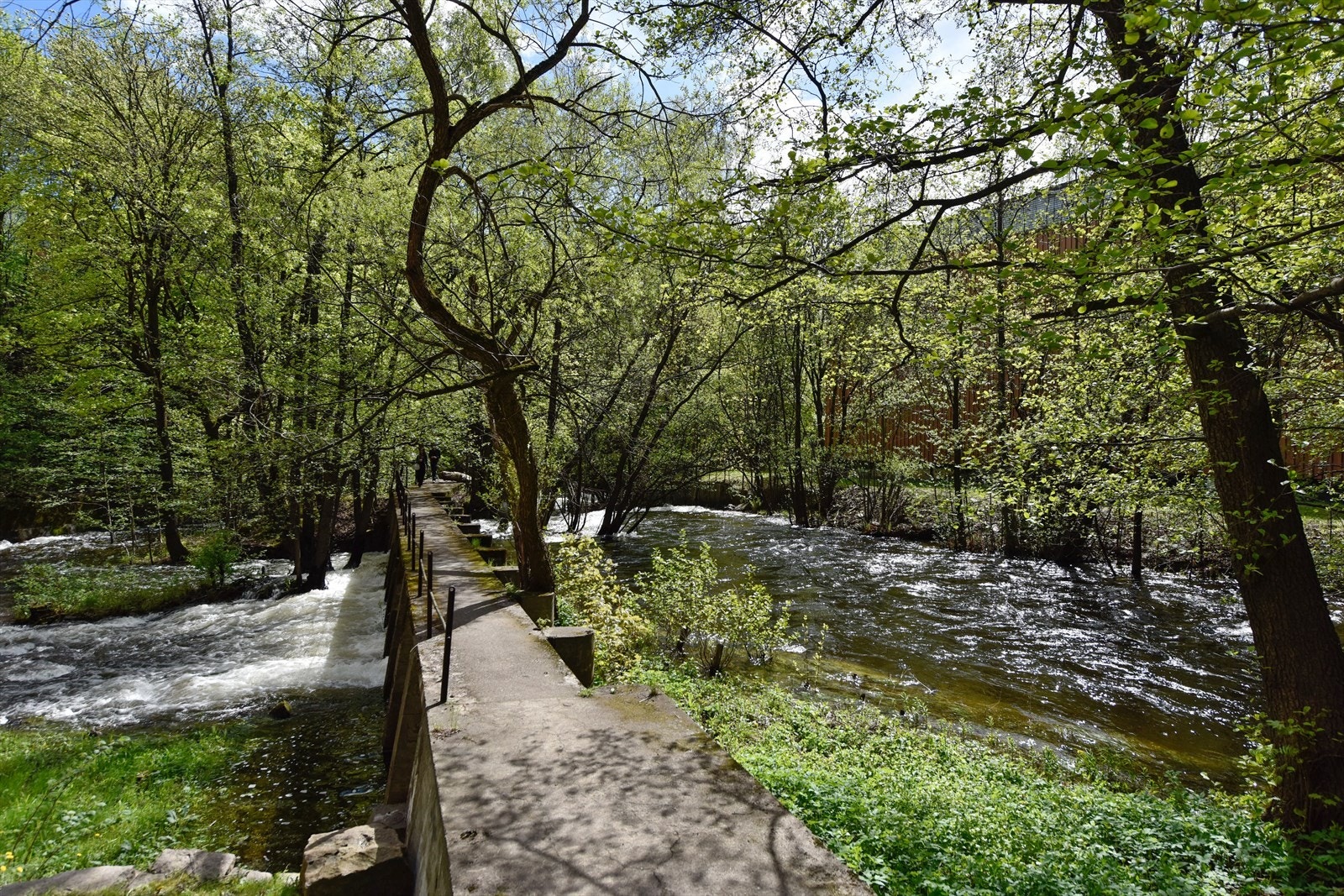 Det er flotte turmuligheter langs Akerselva, et grønt og populært nabolag. Galleribilde
