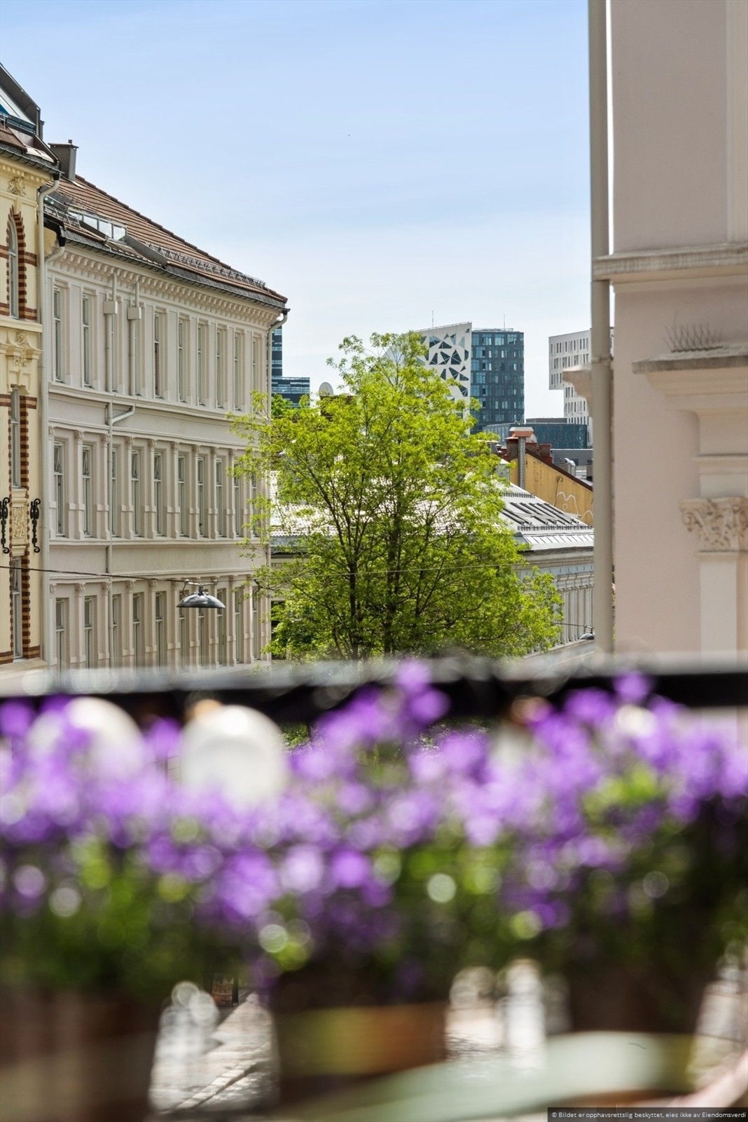 Det er også en fin utsikt mot Barcode i det fjerne. Galleribilde
