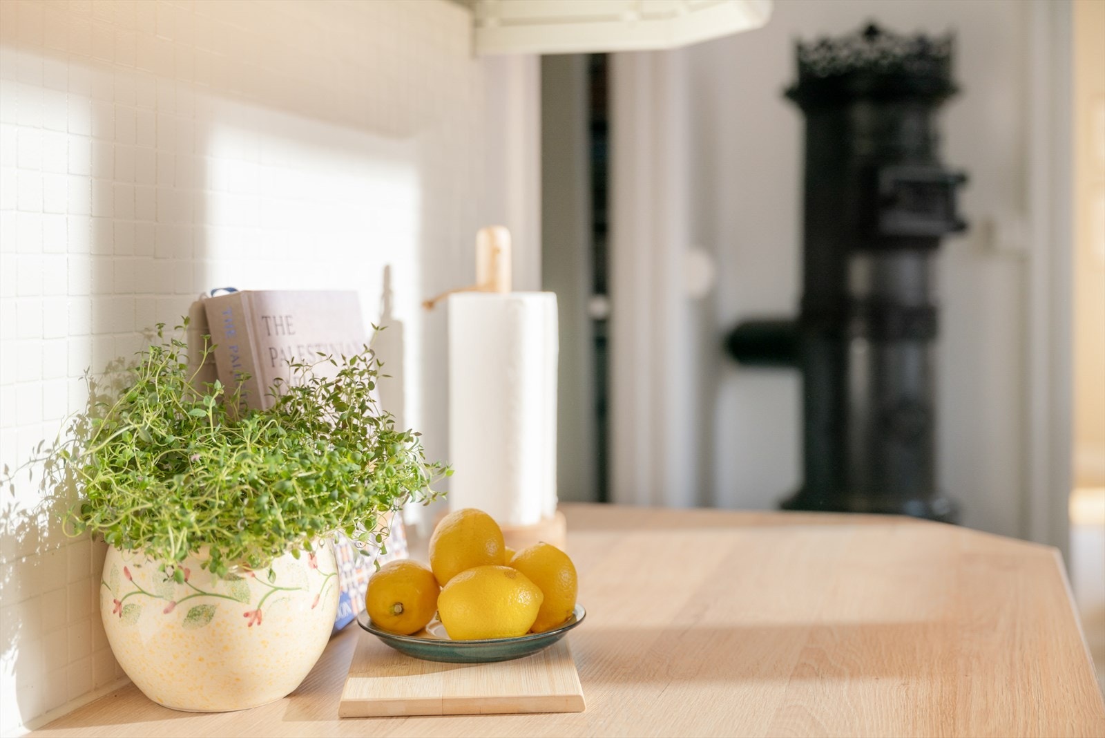 Det ble byttet benkeplate, vask og armatur på kjøkken i 2024. Galleribilde