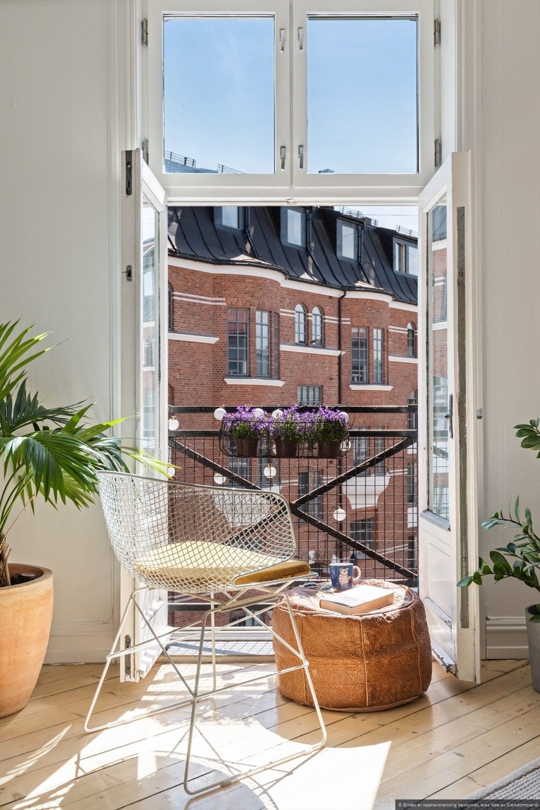 SaleImage.jpg Galleribilde