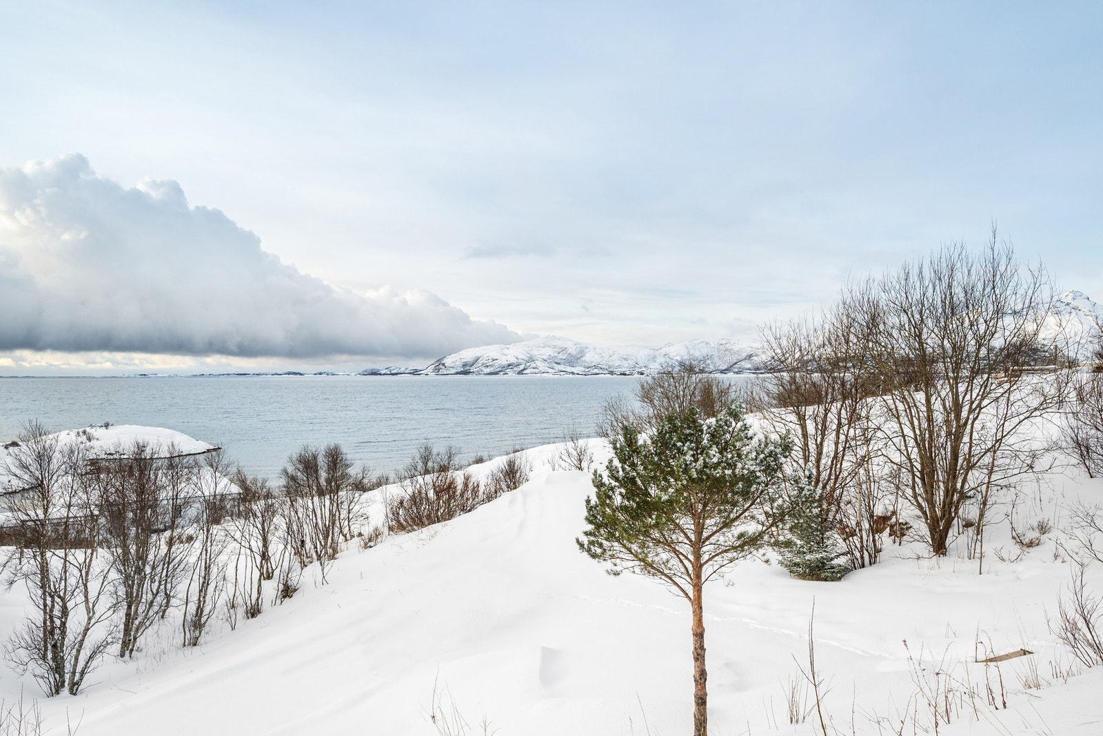Velkommen til en trivelig visning! Galleribilde