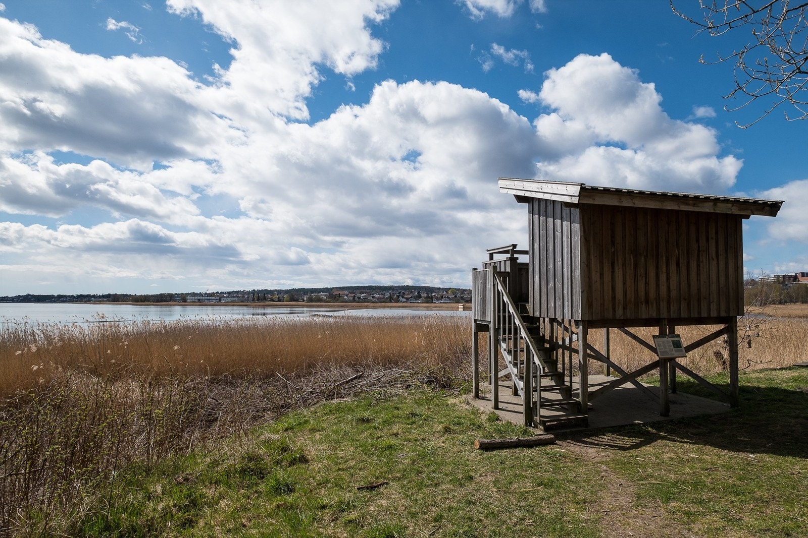 Nærområdet har også fine turstier og grøntområder. Galleribilde