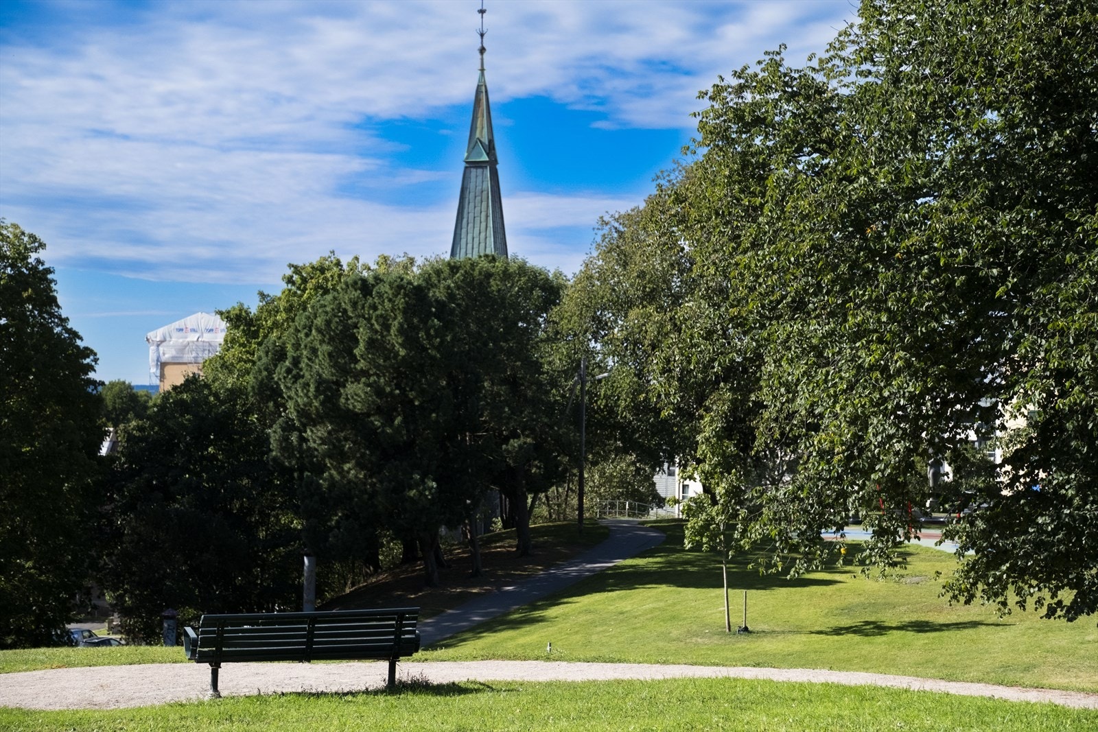 Nærområdet. Galleribilde