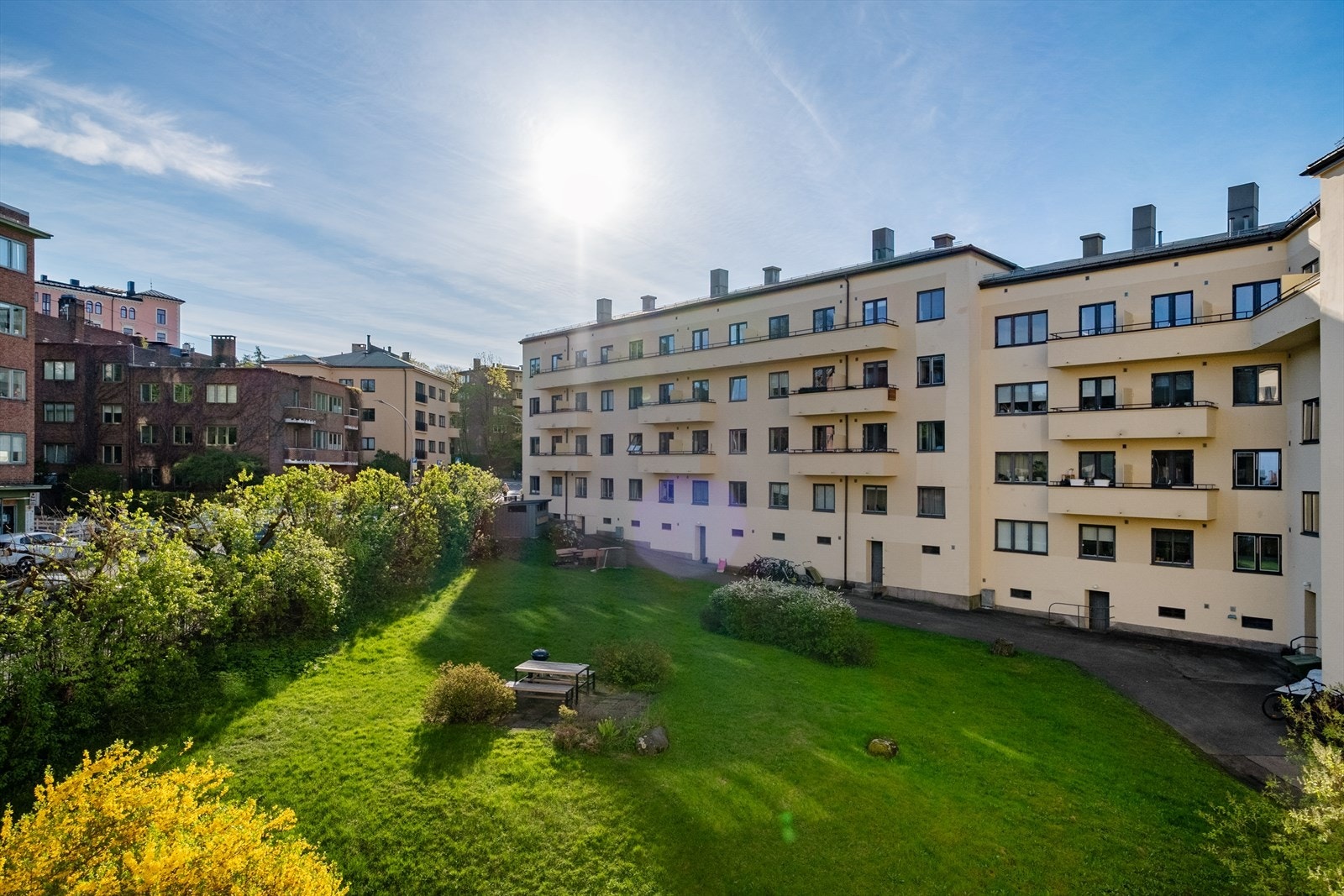 Flott og frodig bakgård. Galleribilde