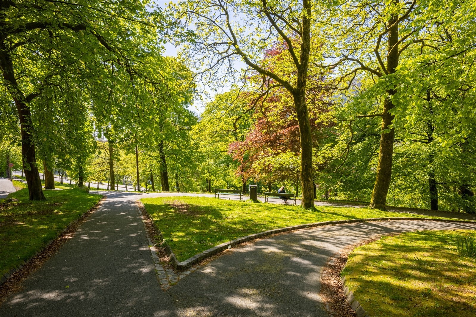 Det er flere fine parker og turområder i kort avstand fra leiligheten. Velkommen til visning! Galleribilde