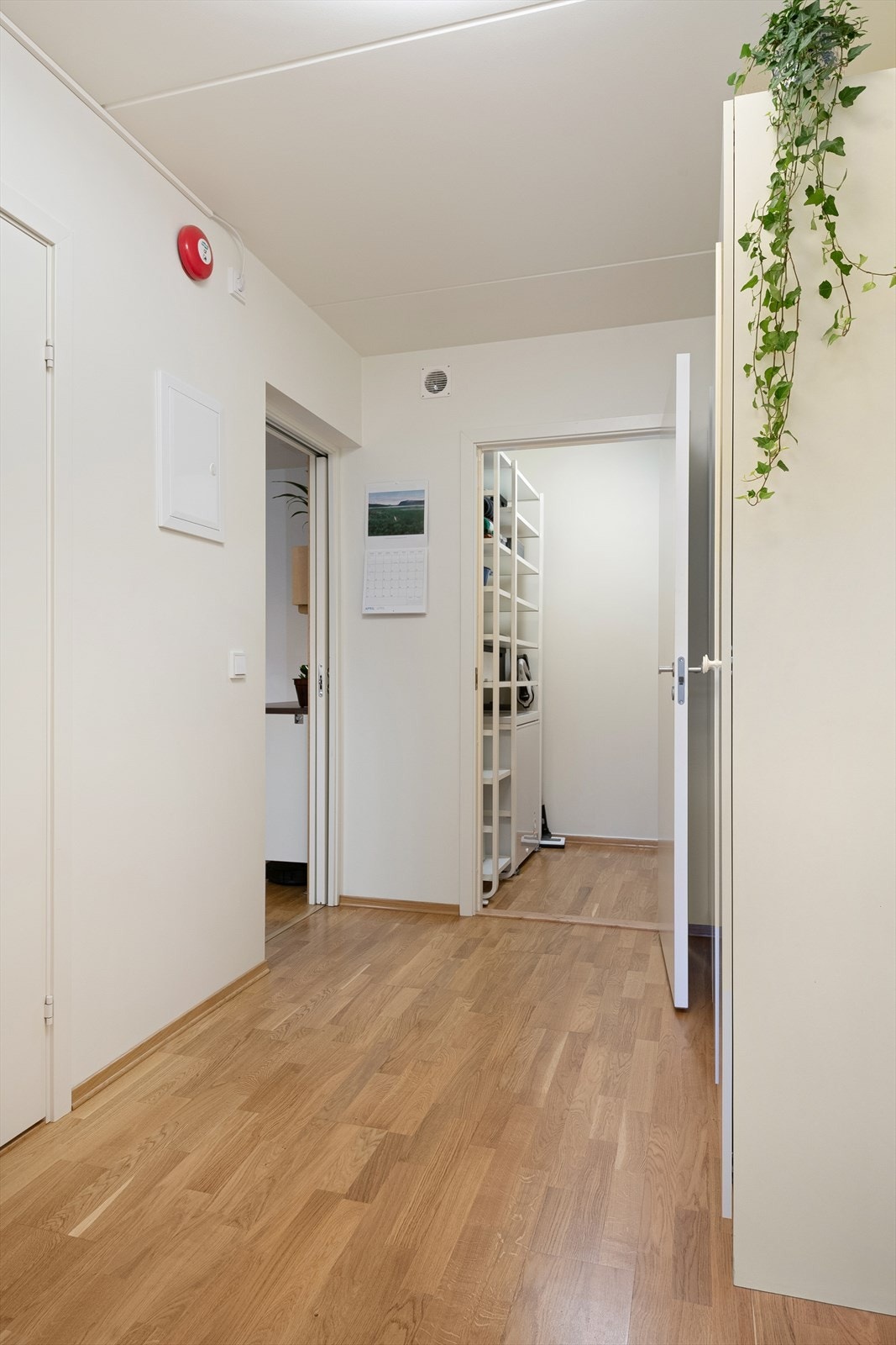 Praktisk tilgang til en romslig innvendig bod direkte fra gangen. Galleribilde