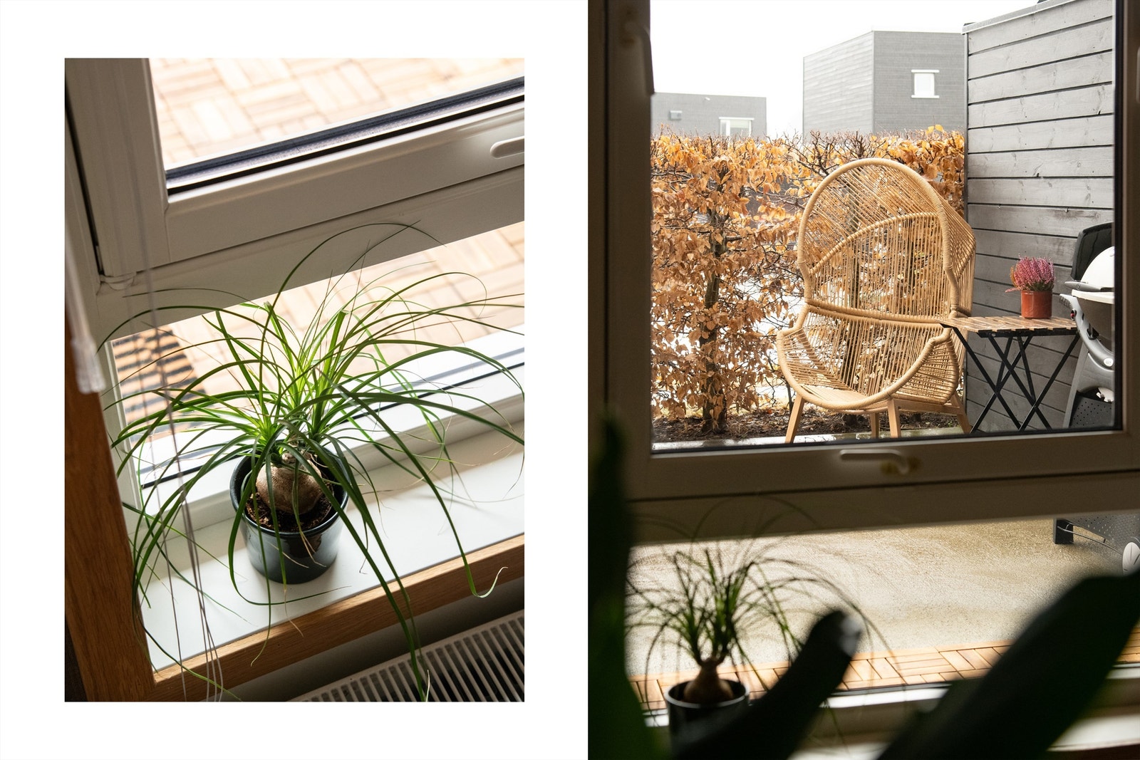 Utsyn mot den private uteplassen. Galleribilde