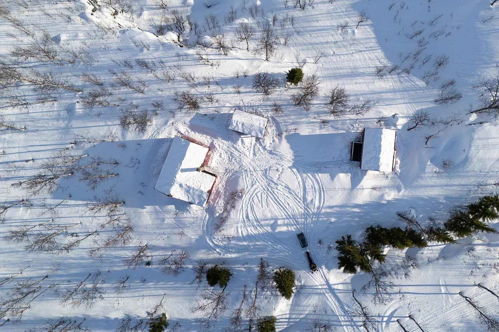 Tomten er ca. 1 mål Galleribilde