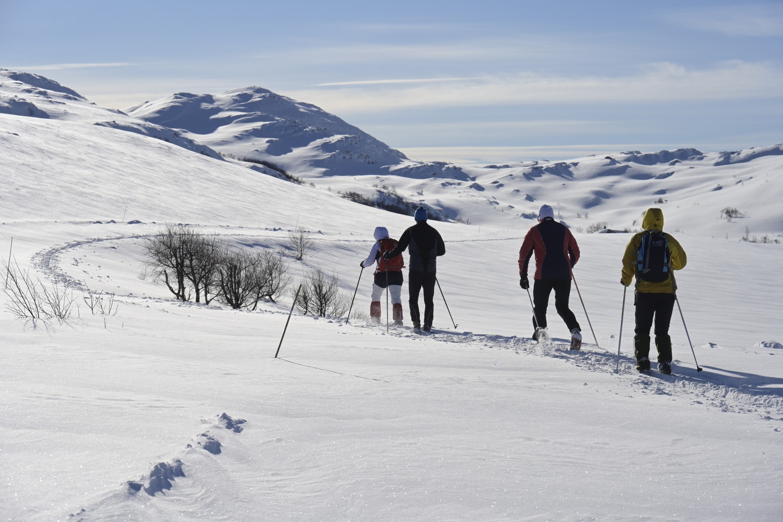 Langtjønna skaret- Foto: Ludvig Killingberg Galleribilde