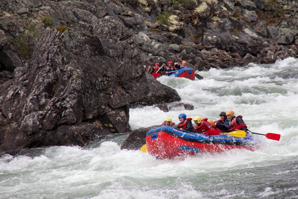 Rafting i Numedalslågen Galleribilde