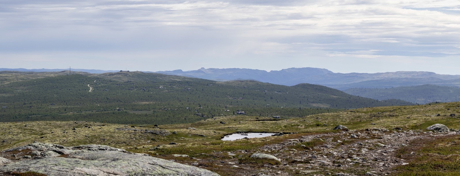 2025-06-30 11-00-41 IMG_3990-Pano Galleribilde