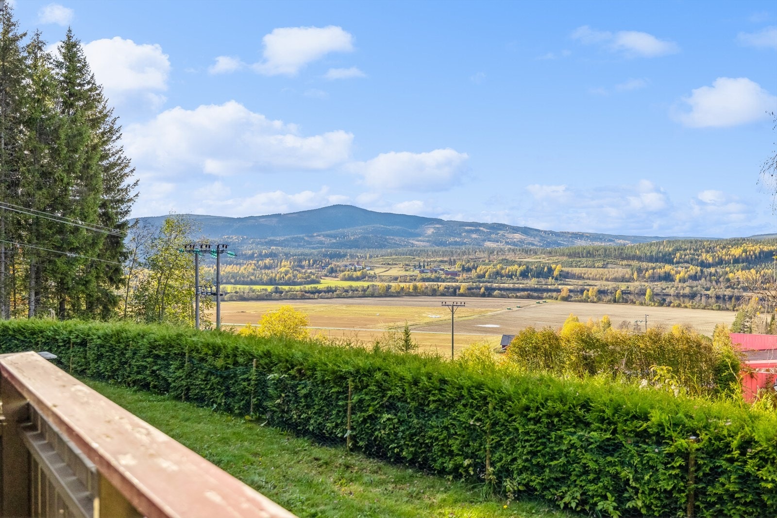 Velkommen til en hyggelig visning! Galleribilde