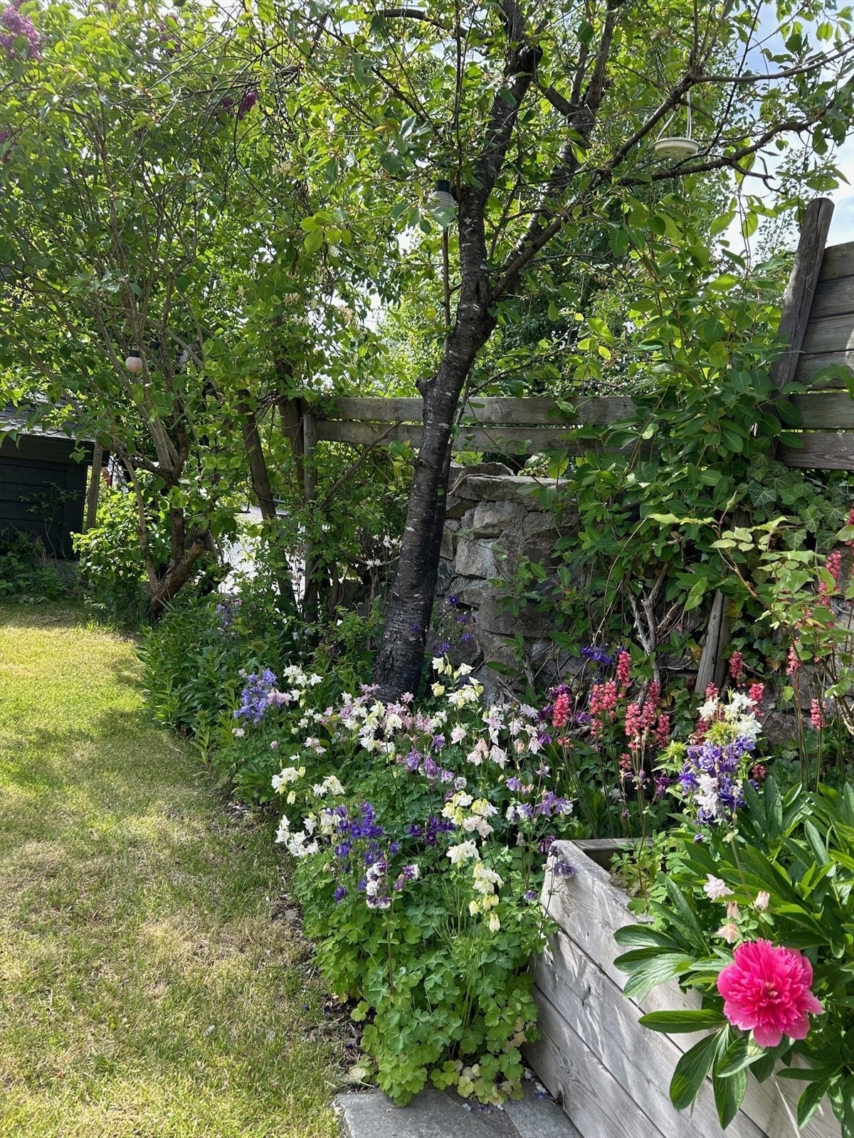 Hagebilde (selger) Galleribilde