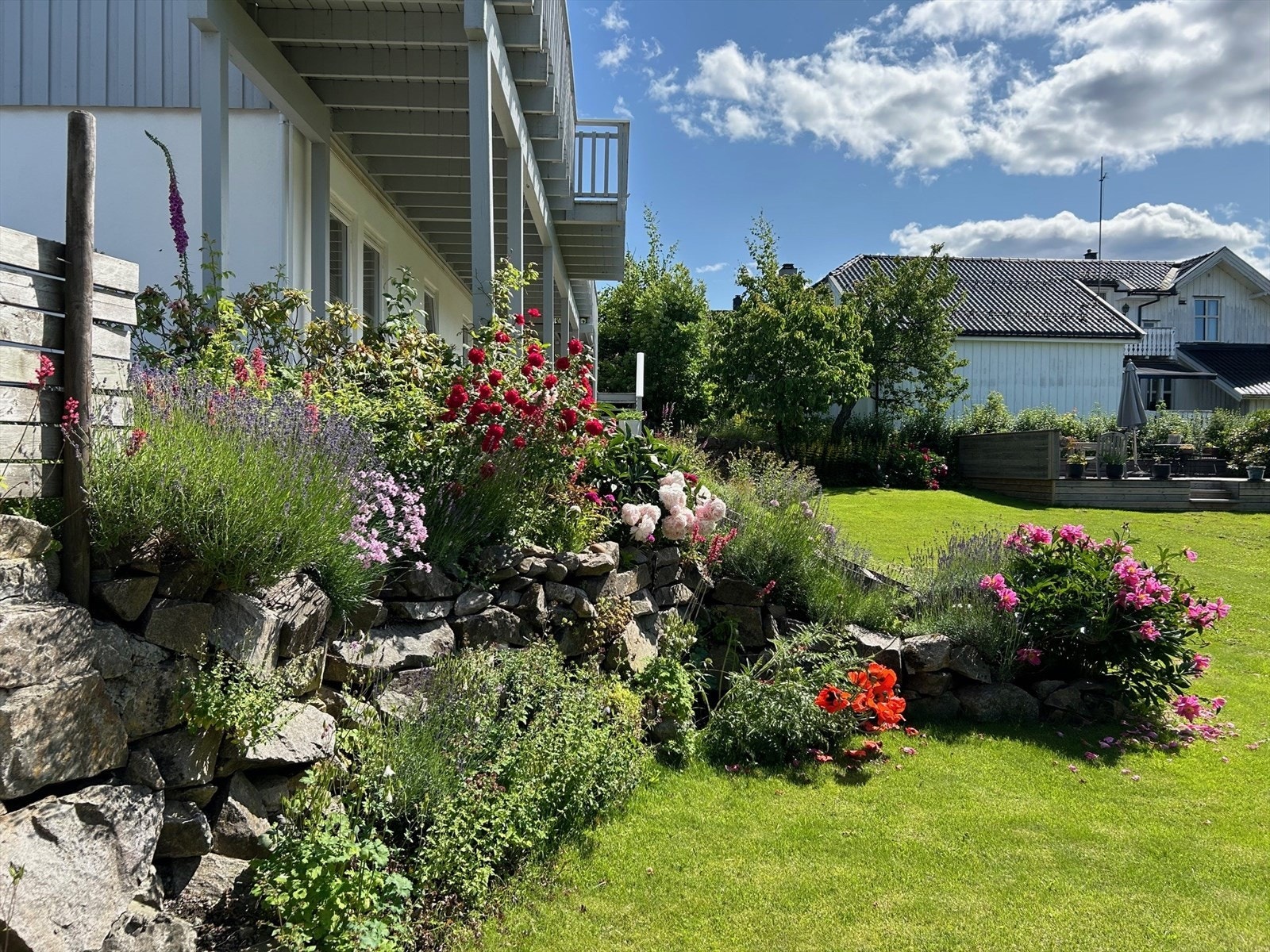 Hagebilde (selger) Galleribilde