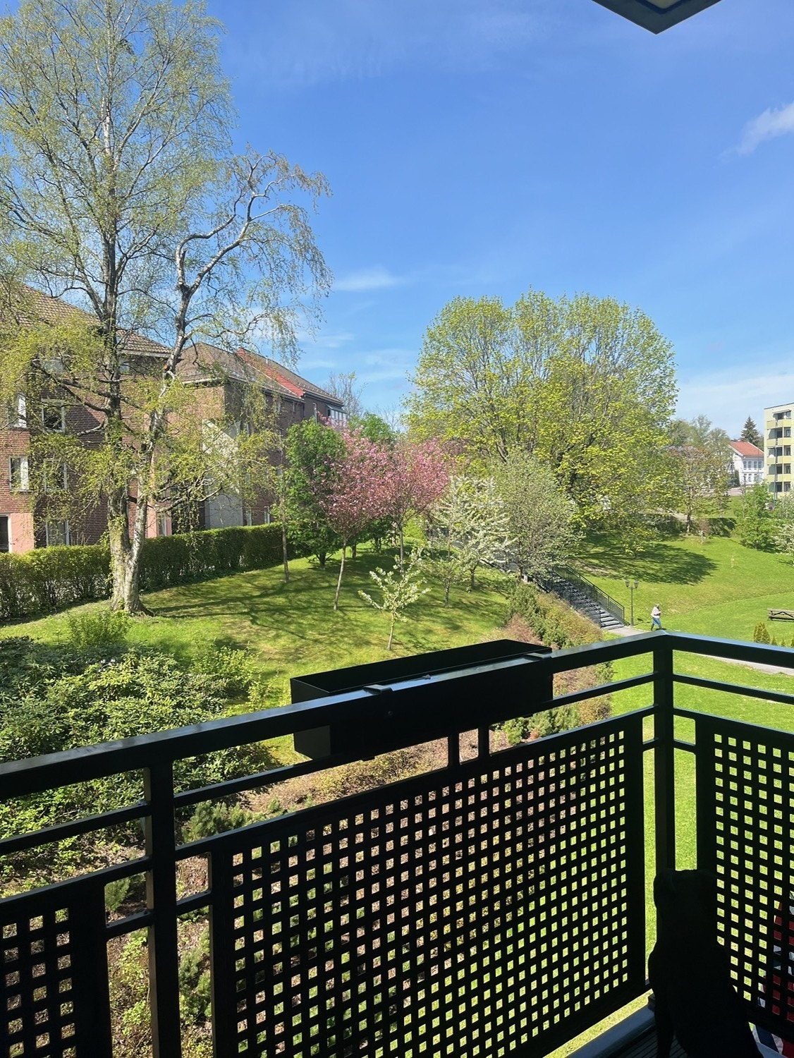 Selger sitt bilde om sommerhalvåret. Galleribilde