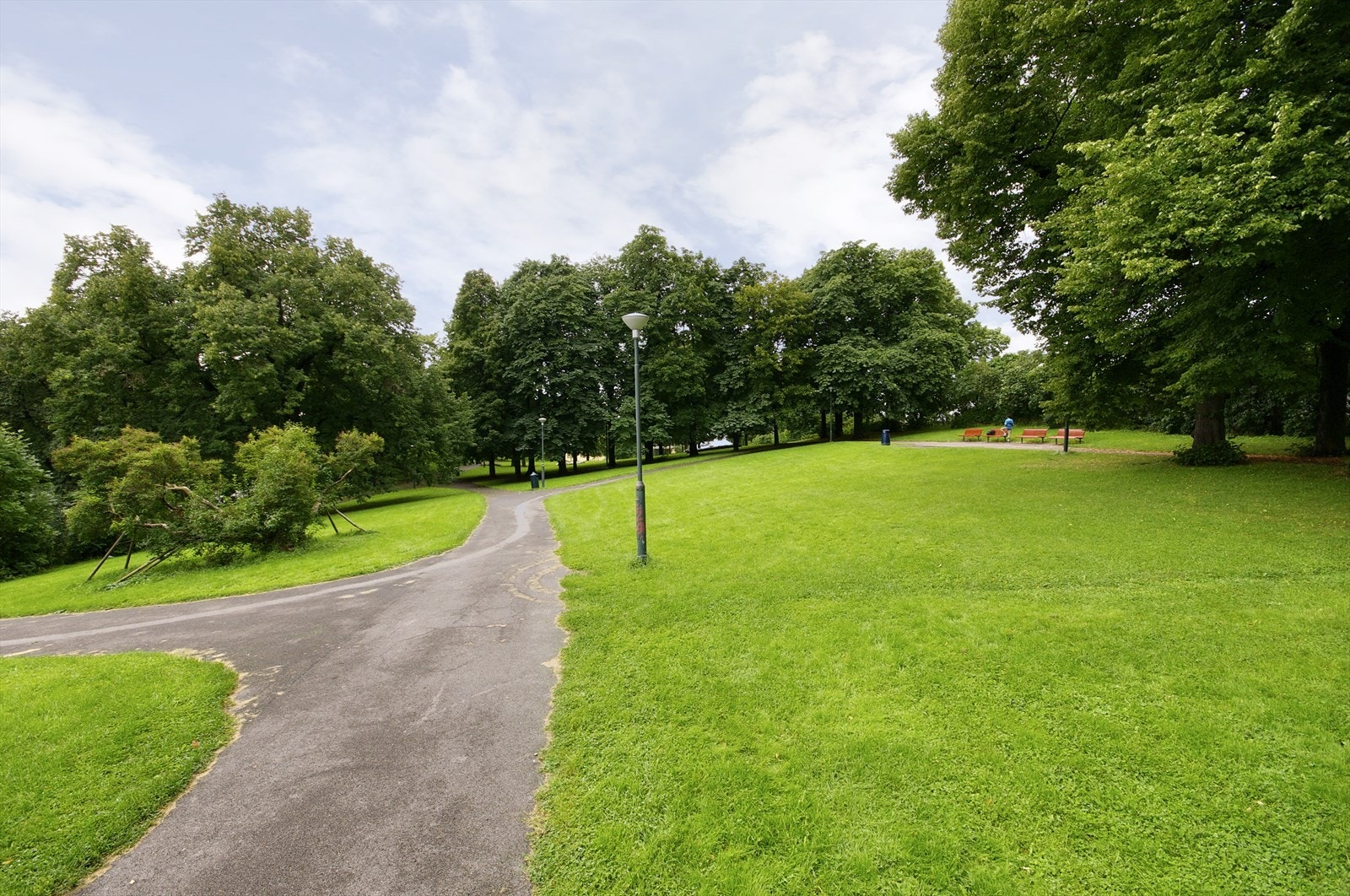 Umiddelbar nærhet til Bjølsenparken som byr på trivelige grøntareal langs elva. Galleribilde