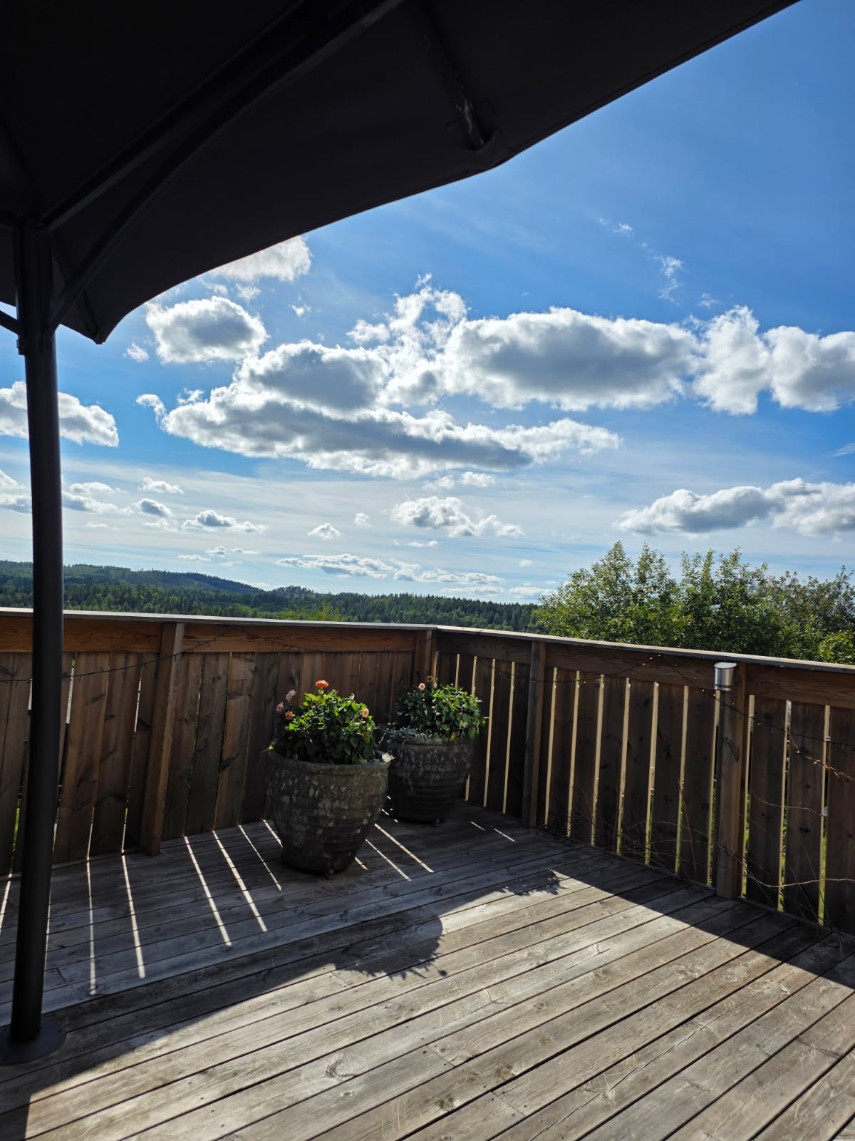 Eier sine private sommerbilder. Galleribilde