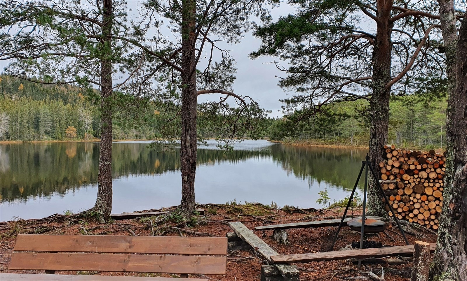 Fra eiendommen vil man ha flere fine turstier. En av de tar deg opp til Kvennavatnet Galleribilde