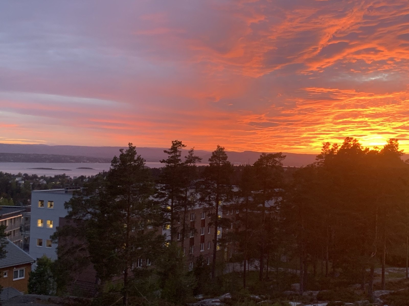 selgers private bilde. Galleribilde