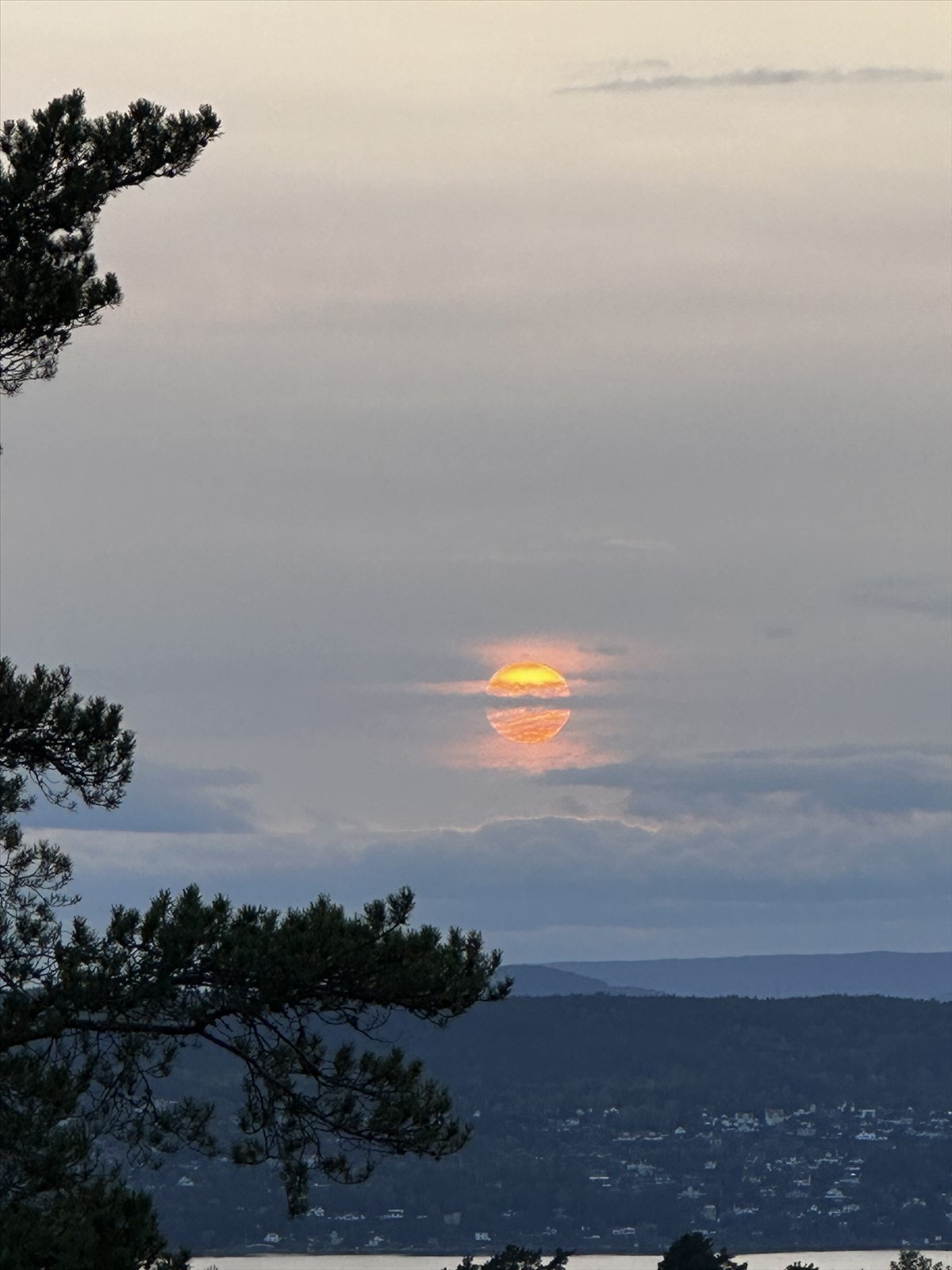 selgers private bilde. Galleribilde