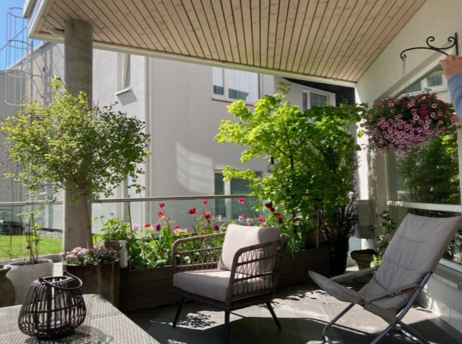 Selgers bilde av en terrasse i full blomst! Galleribilde