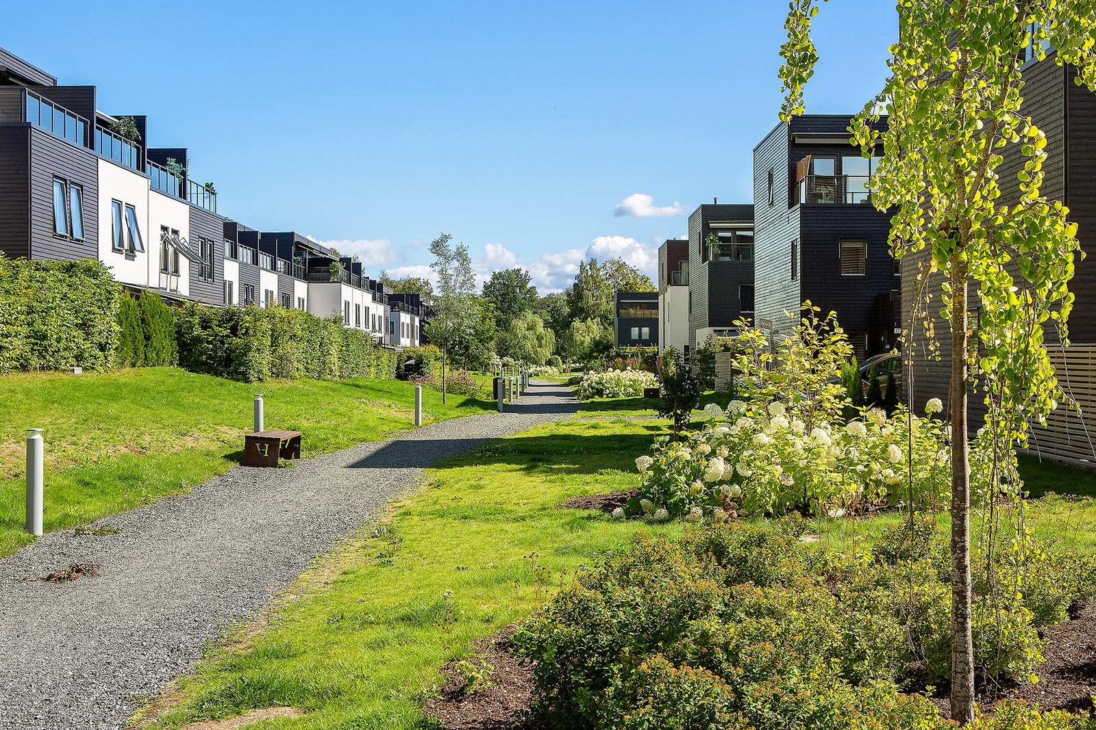 Her bor du sentralt men skjermet med flotte turmuligheter like utenfor døren Galleribilde