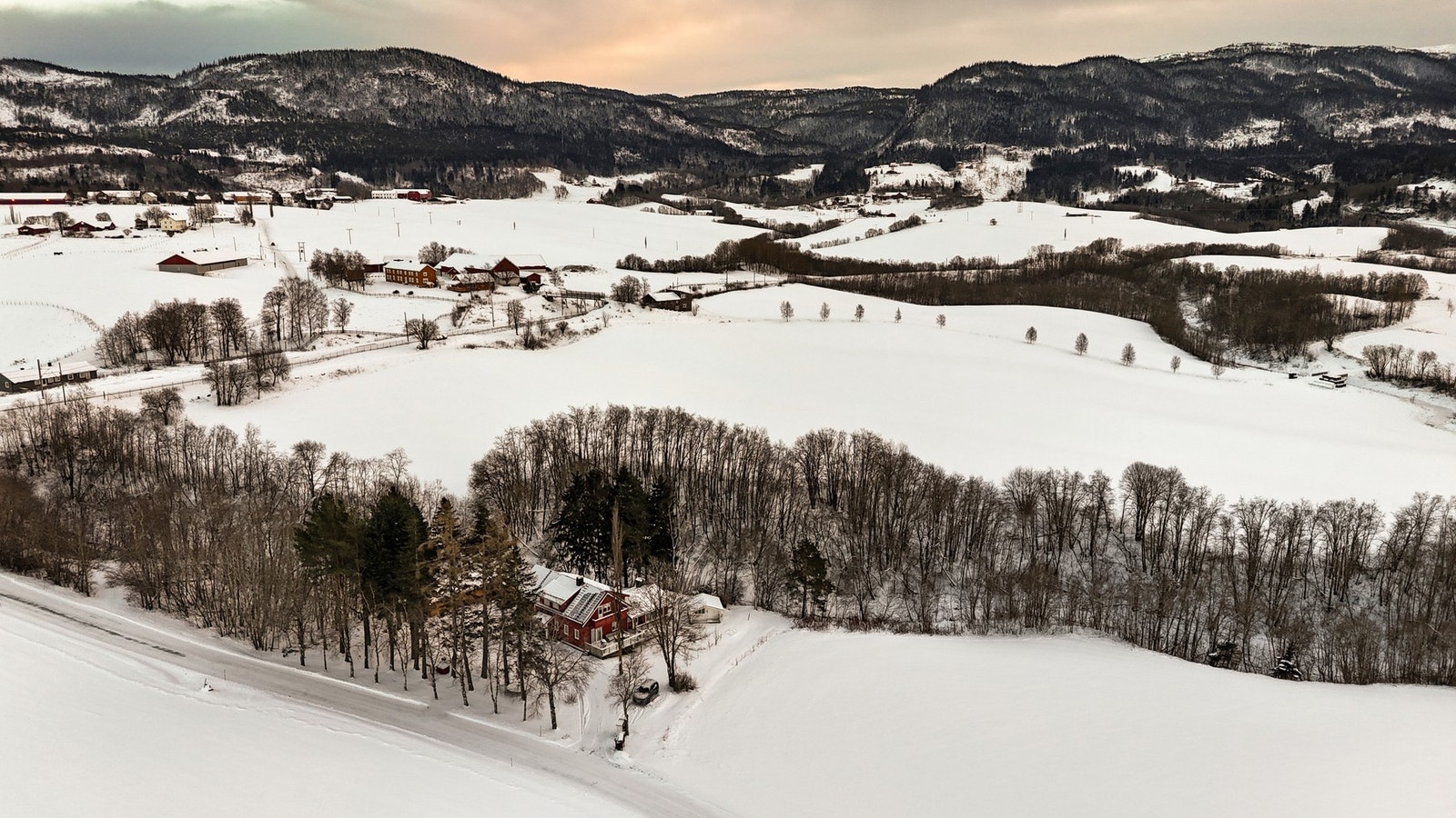 Velkommen til hyggelig visning! Galleribilde