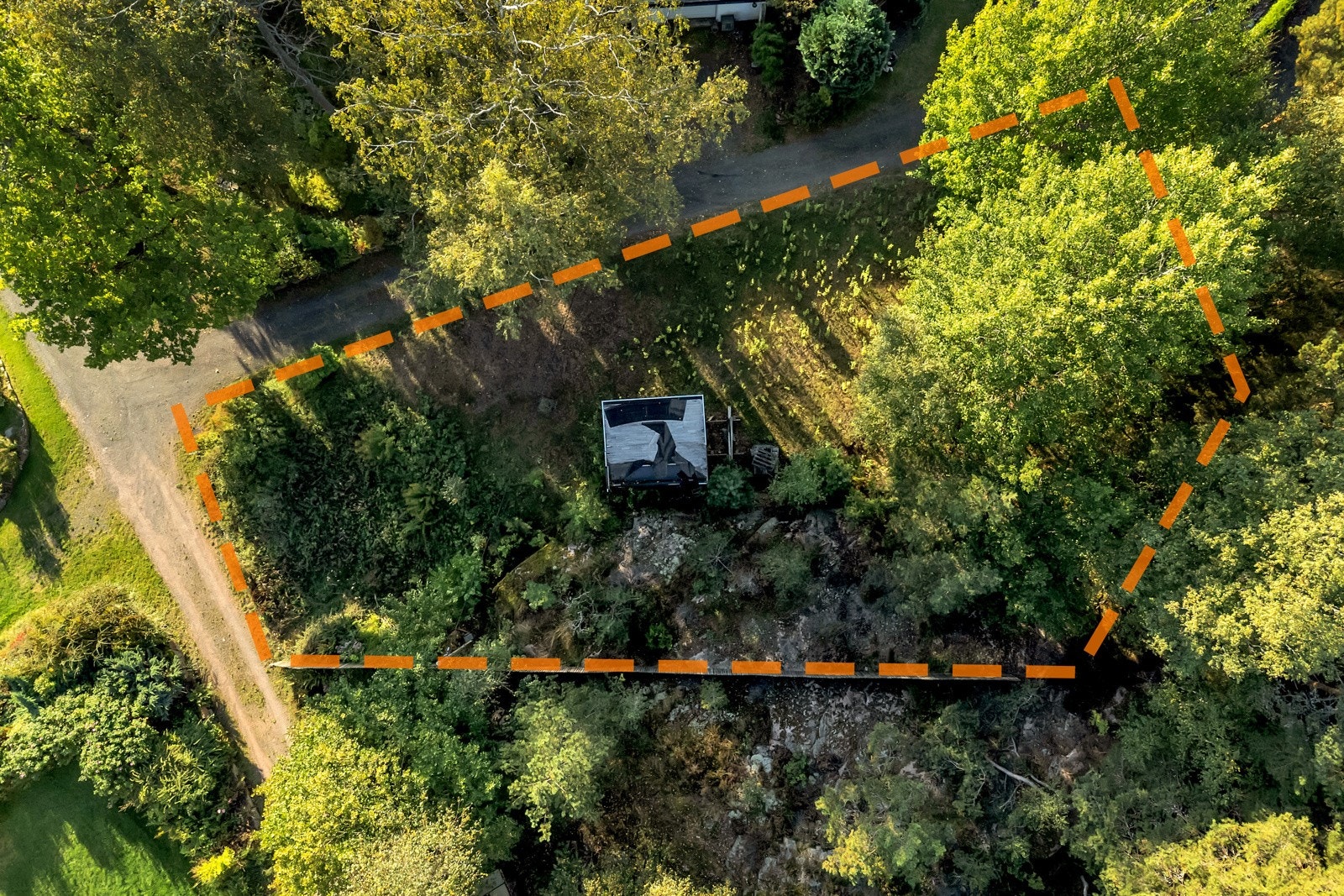 Ca. tomtegrense. Galleribilde