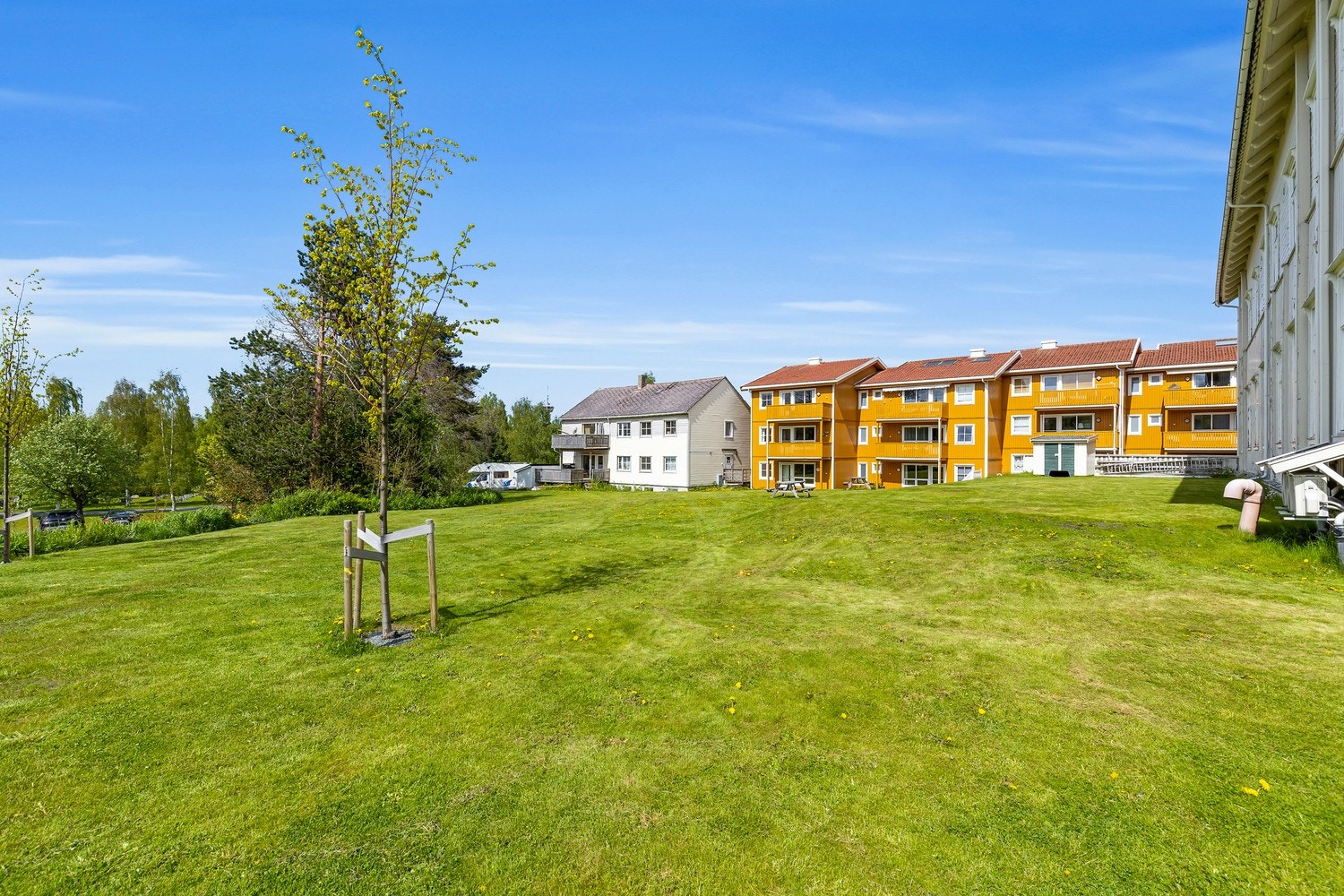 Sameiet disponerer et stort og frodig grøntareal, med noe beplanting og sitteplasser. Det store fellesarealet kan fritt benyttes av store og små. Galleribilde