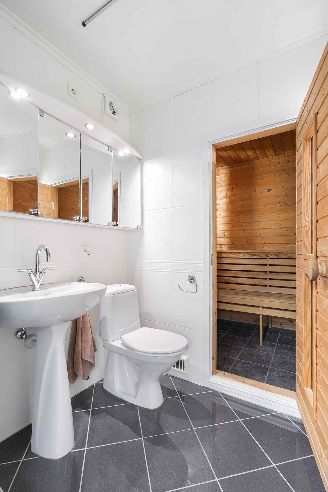 Underetasje: Bad/badstue. Galleribilde