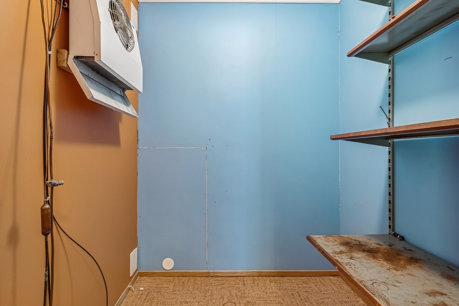 Boligen har et eldre kjølerom med oppgraderingsbehov. Galleribilde