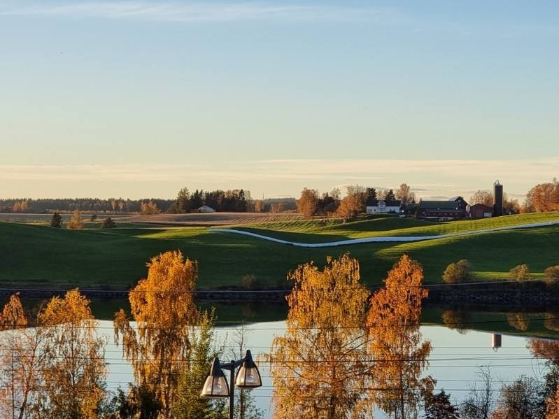 Utsikt fra spiseplassen. (Høst) Galleribilde