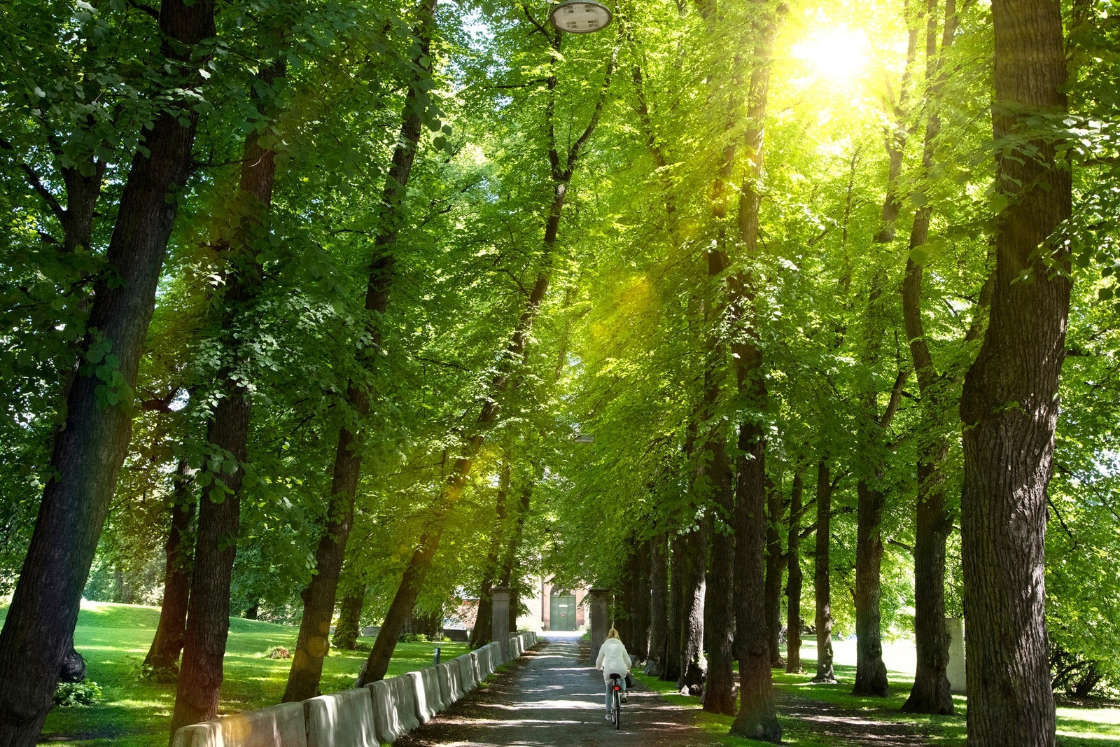 Egon Olsens allé i Botsparken. Galleribilde