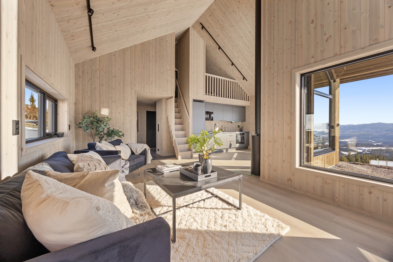 Stue og kjøkken oppleves som generøst med den gode himlingshøyden og de store vindusflatene Galleribilde