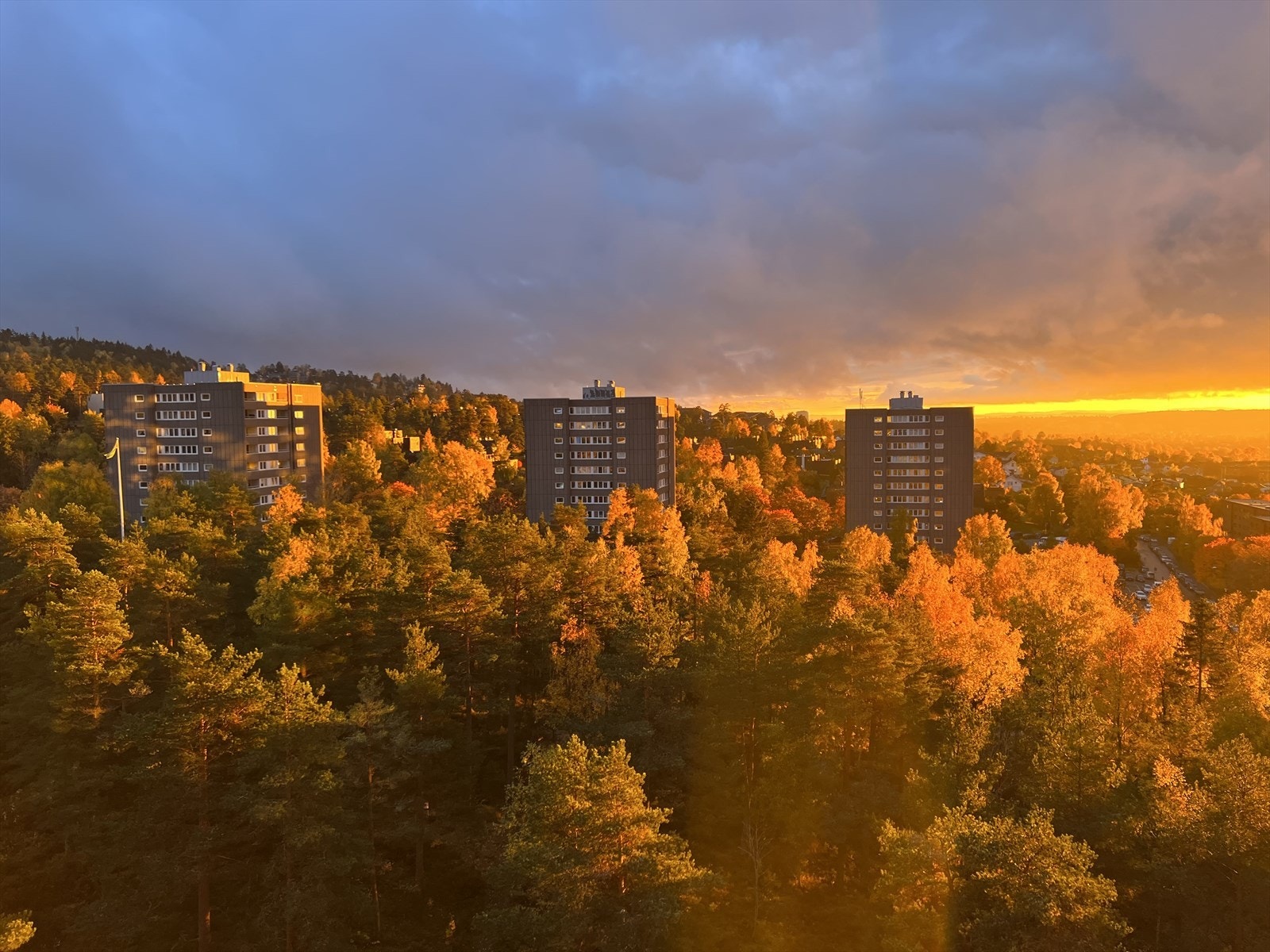 Fra balkongen kan du nyte den fantastiske utsikten, med frodig skog i én retning og byen i den andre. Selgers bilde. Galleribilde
