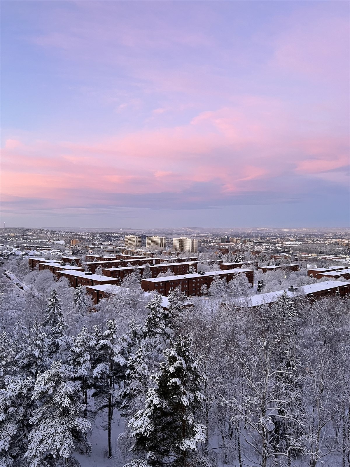 Vinterlandskap sett fra stuevinduet. Selgers bilde. Galleribilde